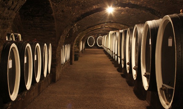 Wine-basement_Kutjevo_Boris-Stajduhar-001-2015-10-22-_-11_39_50-80