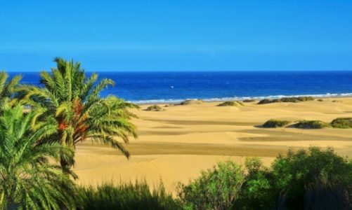 Dlaczego lubimy Wyspy Kanaryjskie?