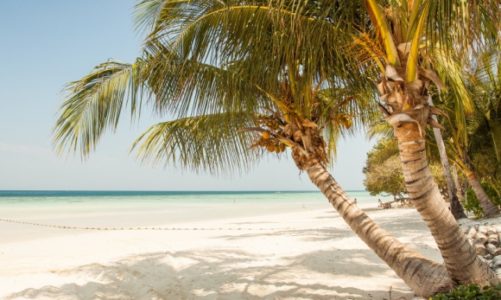 Każdego roku ponad 6 milionów Polaków spędza wakacje za granicą. Każdy z nas mar