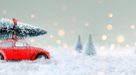 5 zasad świątecznego kierowcy