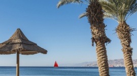 glownekonf_608437705wo_270ho_150_small Egzotyczne kierunki na zimową chandrę