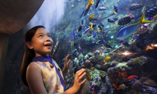 Poczuj dziecięcą radość