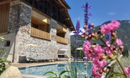 Gospodarstwa XXI wieku, czyli nowoczesne oblicze stowarzyszenia Roter Hahn