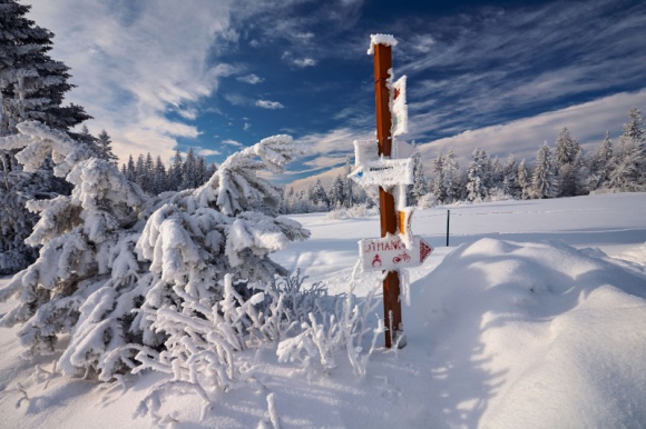 glownekonf_658524875w_580_small Jednodniowe wędrówki z dziećmi