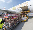 50. Airbus A380 dołączył do floty Emirates