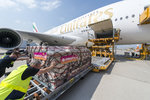 50. Airbus A380 dołączył do floty Emirates