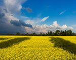 Bezpłatna pomoc medyczna dla osób z Ukrainy w ramach Grupy ENEL-MED, Медична допомога біженцям з України