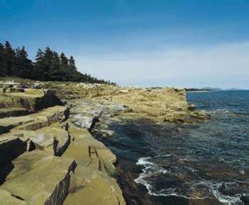 Whitney za bardzo się nad sobą użala?