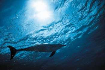 Czy „Sprzątanie świata” ma sens?