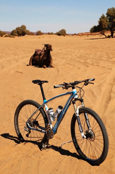 Polacy, rowery i piaski Sahary…