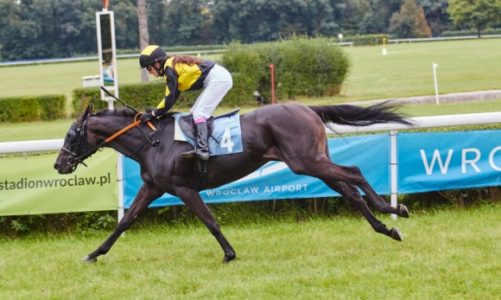 Lotnisko ląduje na Partynicach. Odlotowa niedziela z atrakcjami