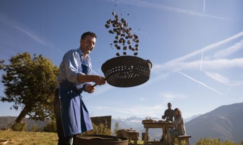 Czas zbiorów i święto Törggelen