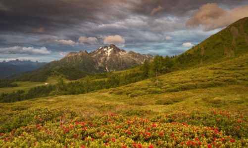 Pięć szlaków na wędrówki z dzieckiem we włoskim Trentino