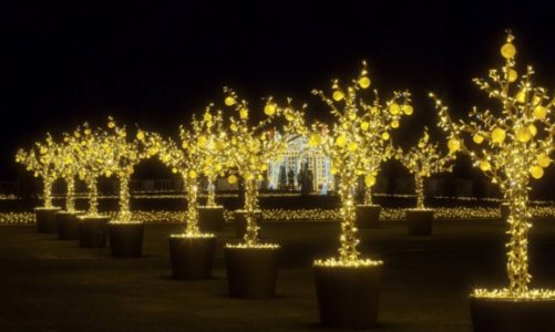 Na Otwarcie Królewskiego Ogrodu Światła będą bić Rekord Polski