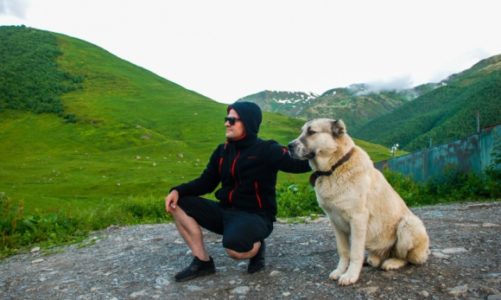 Gruzja bez retuszu. „Polakogruzin” zabiera w podróż po Kaukazie