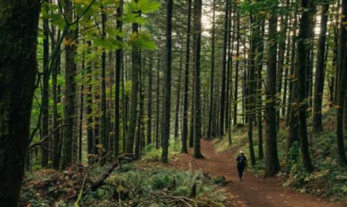Podróżuj wiosną – najpiękniejsze pasma na południu Polski