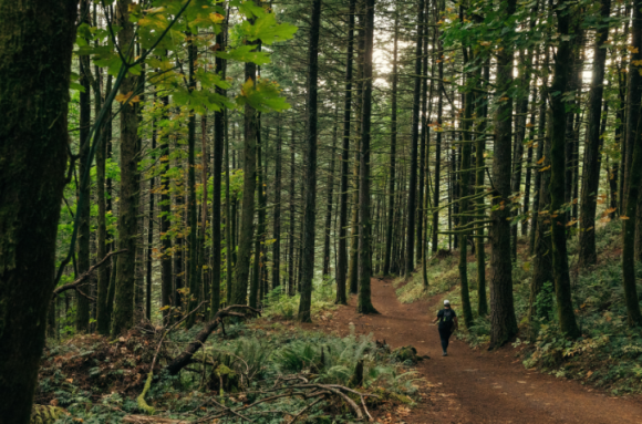 Podróżuj wiosną – najpiękniejsze pasma na południu Polski