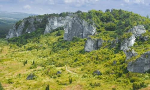 Z Jurajską na szlaku Jury Krakowsko – Częstochowskiej