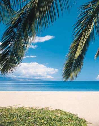 Teneryfa i Loro Park