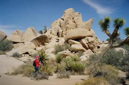 Wycieczki Parki narodowe USA